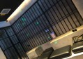 养猫招聘文案搞笑（喵星人的招募令：与喵共舞，笑料不断！）