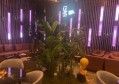 上海浦东新区东明路街道附近酒吧招聘商务礼仪,(不需要工作服)